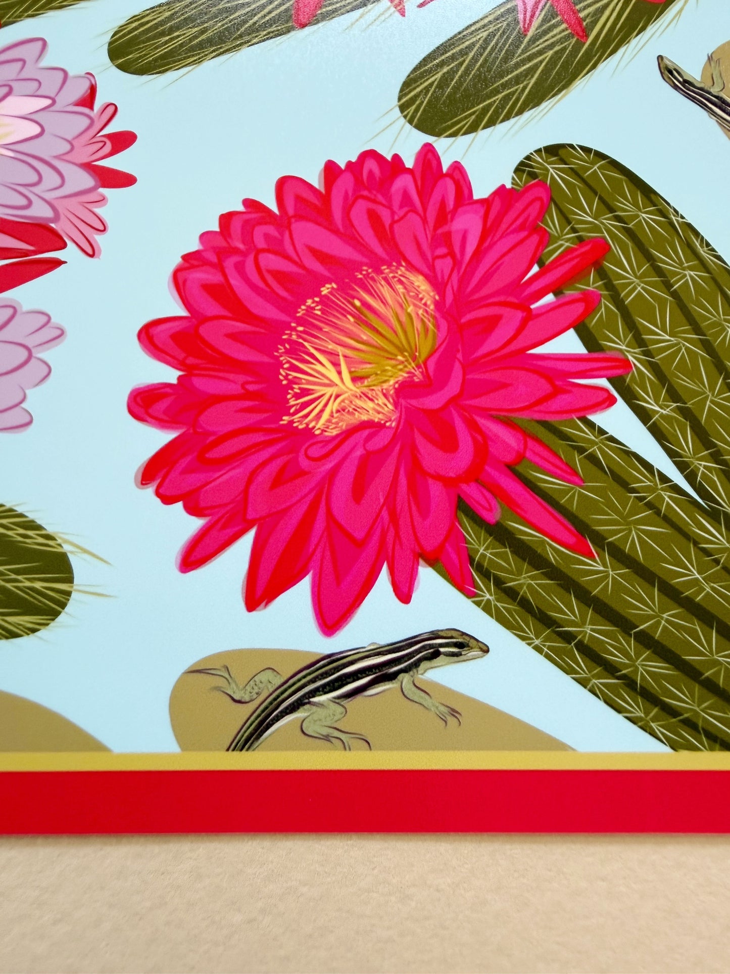 A. Bold pink & violet Blooming Cactus four corner repeat print