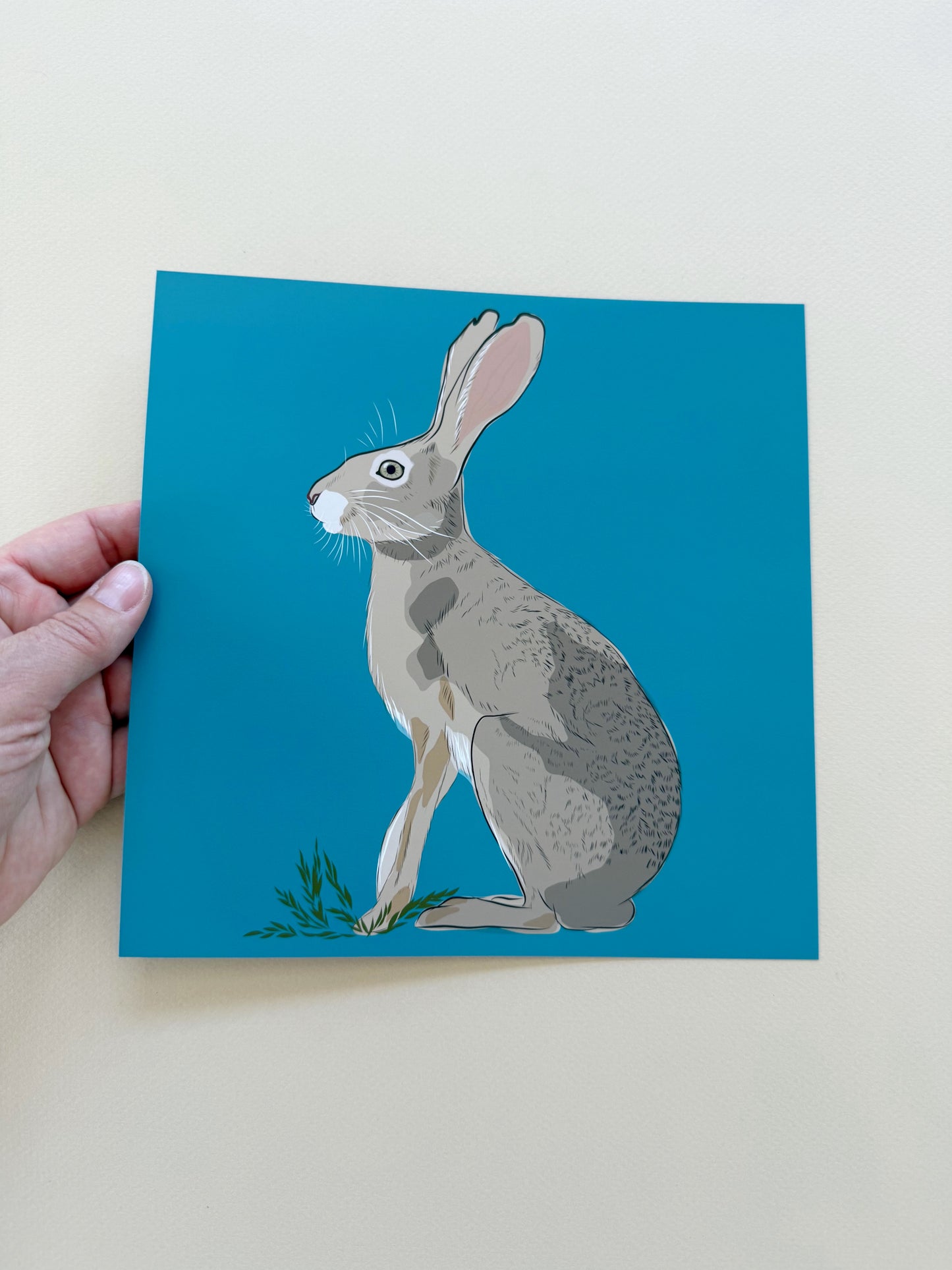 AE. Jackrabbit on turquoise background print