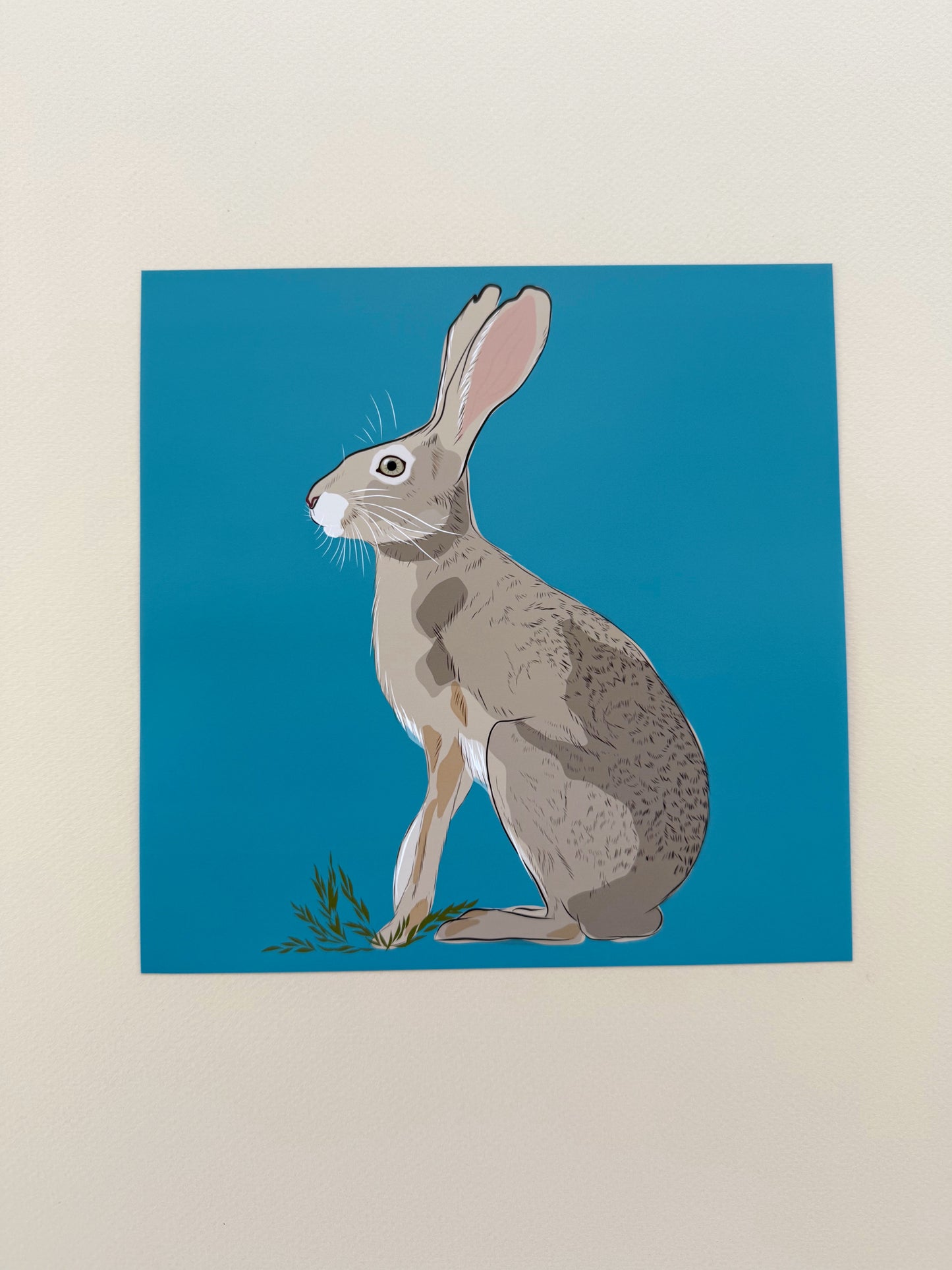 AE. Jackrabbit on turquoise background print