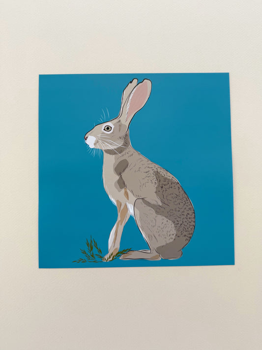 AE. Jackrabbit on turquoise background print