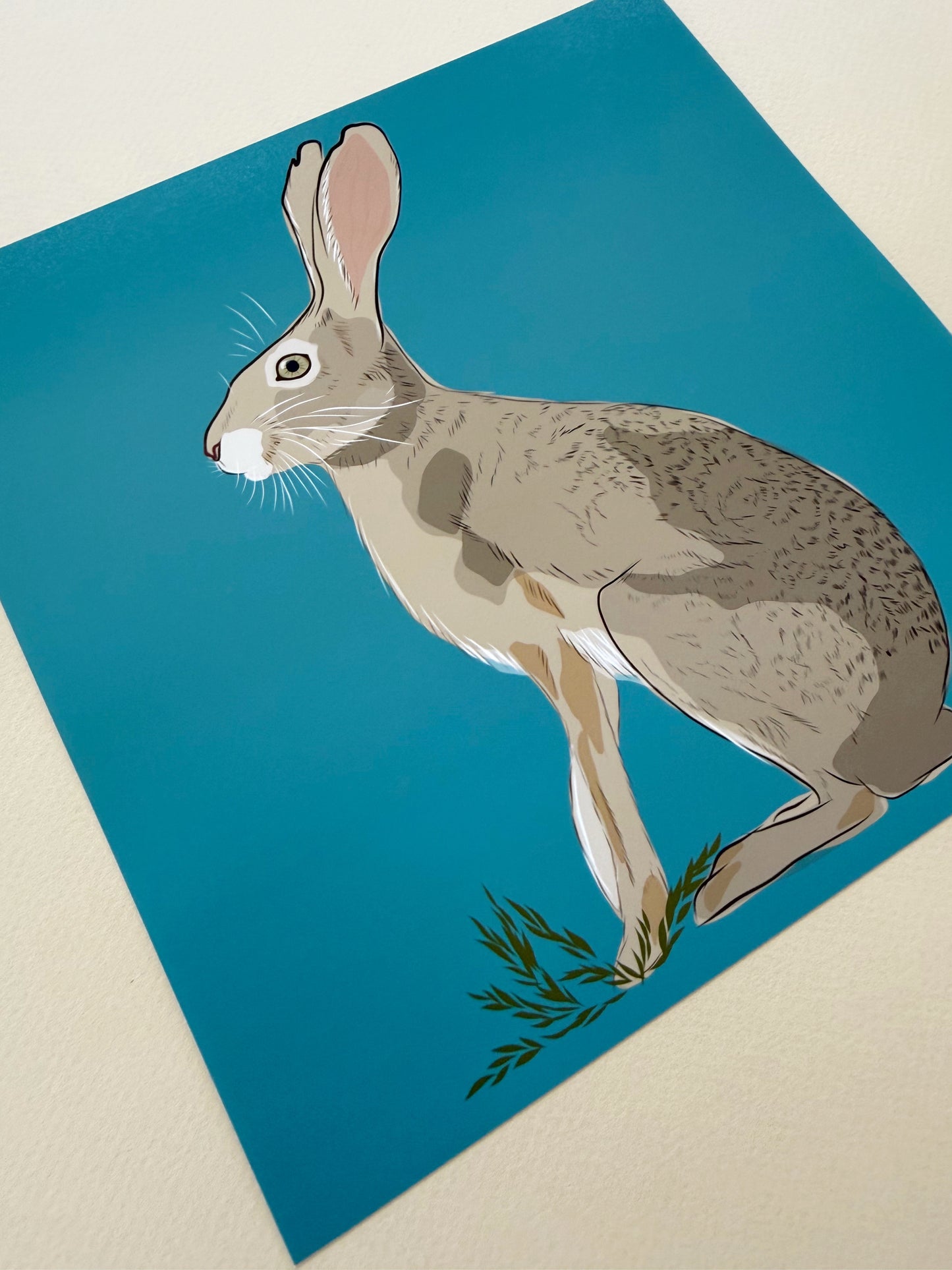 AE. Jackrabbit on turquoise background print