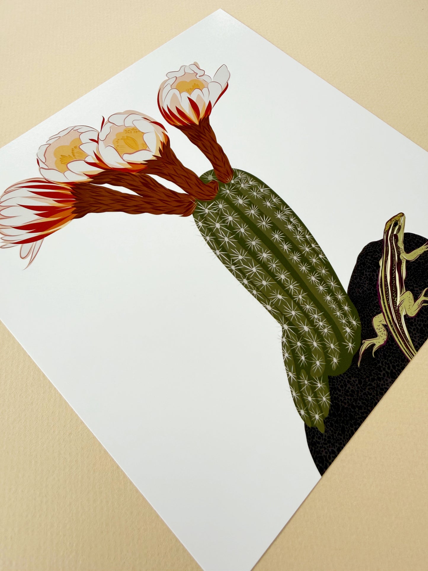 A. Blooming Cacti with Whiptail lizard