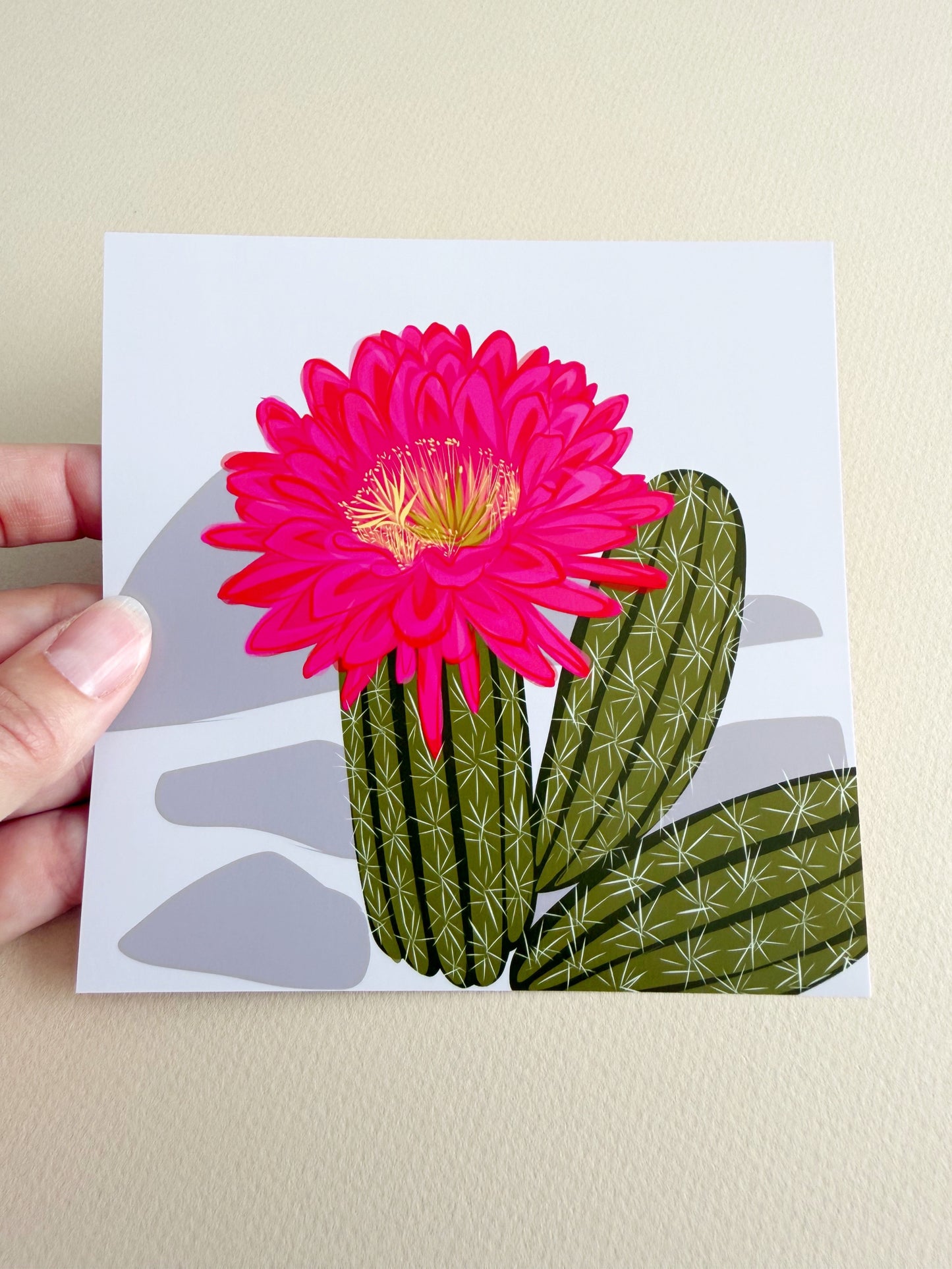 A. Bold pink Blooming Cacti print on turquoise background