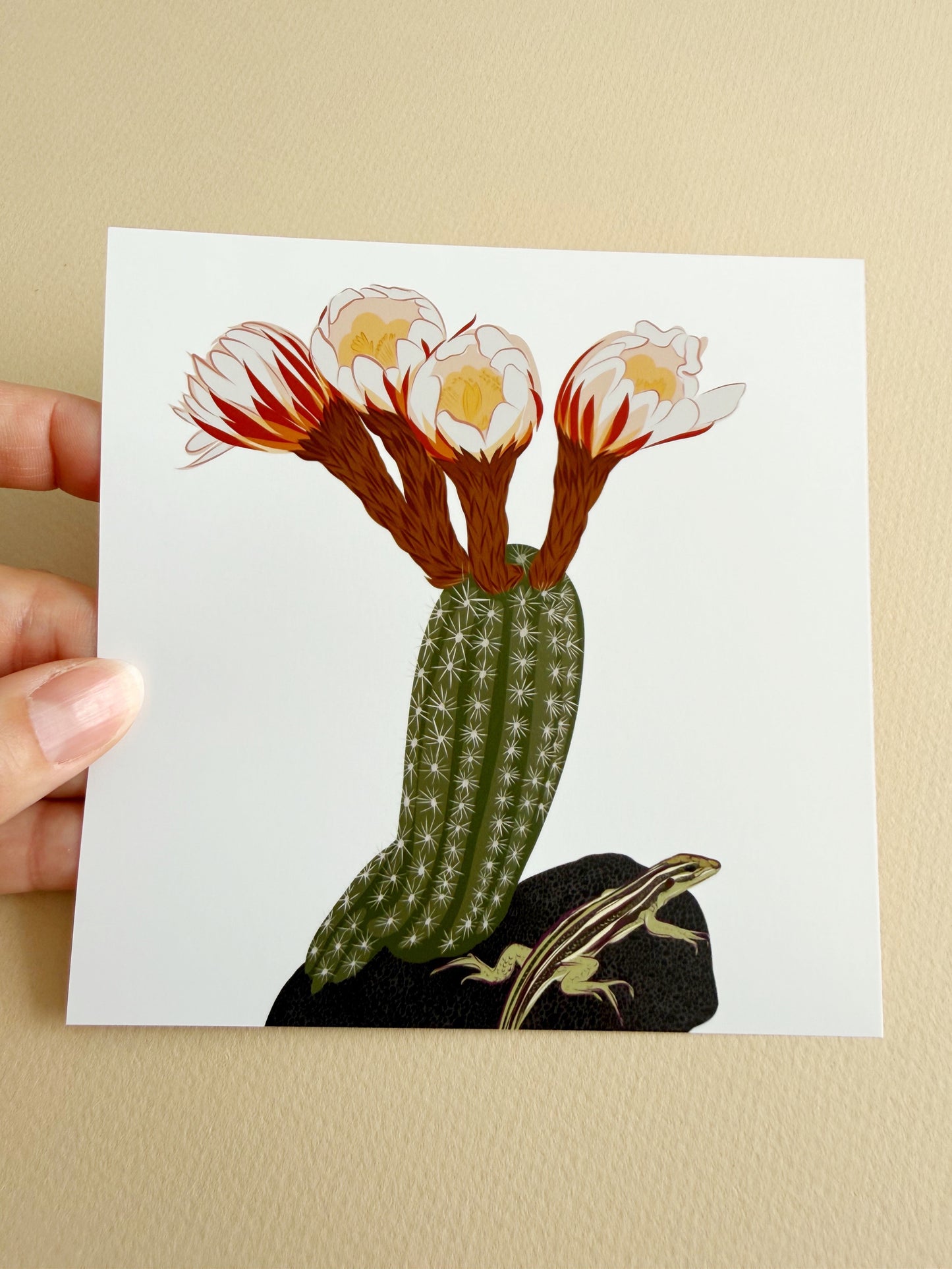 A. Blooming Cacti with Whiptail lizard