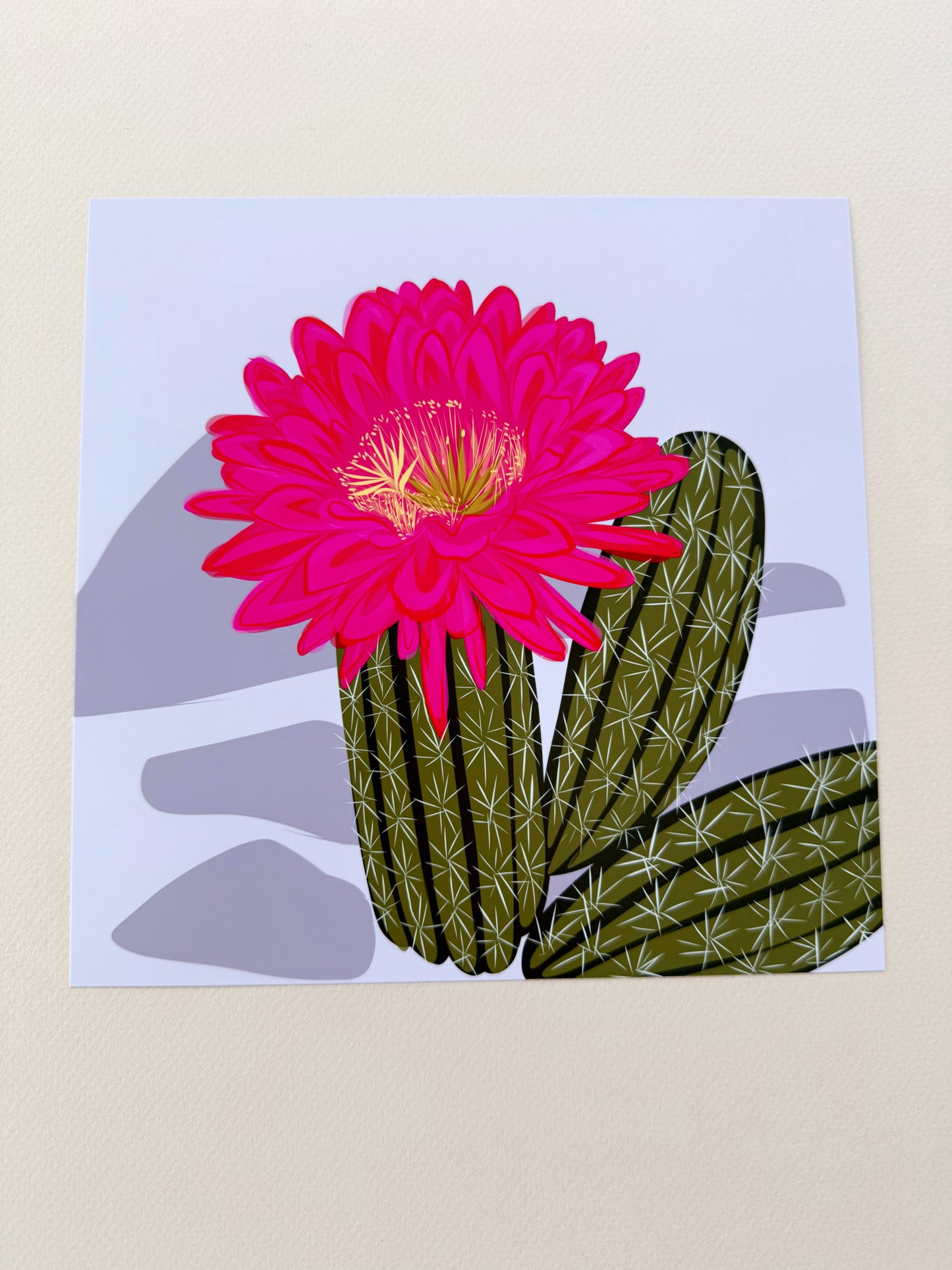 A. Bold pink Blooming Cacti print on turquoise background