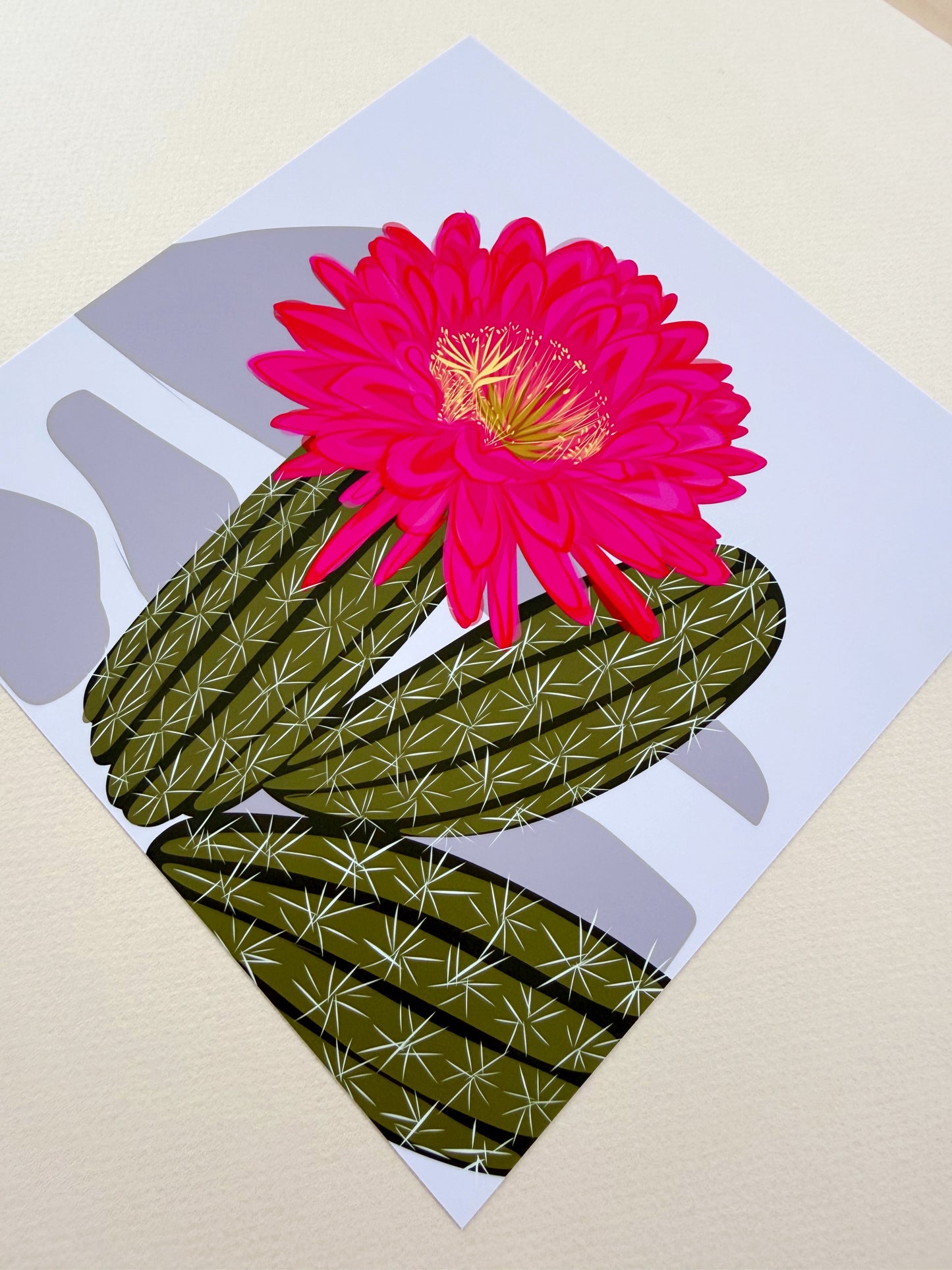 A. Bold pink Blooming Cacti print on turquoise background