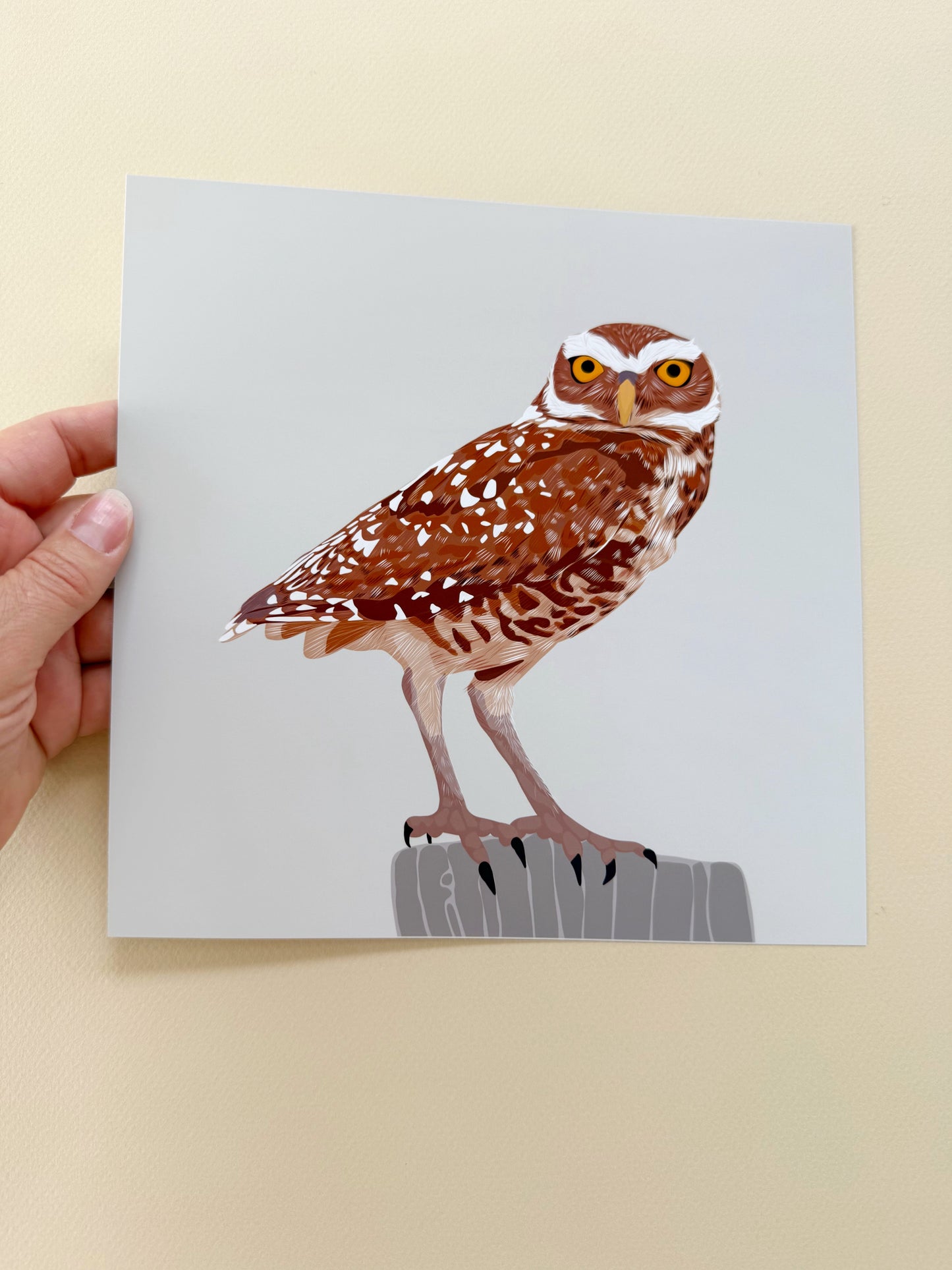 AB. Burrowing Owl Print