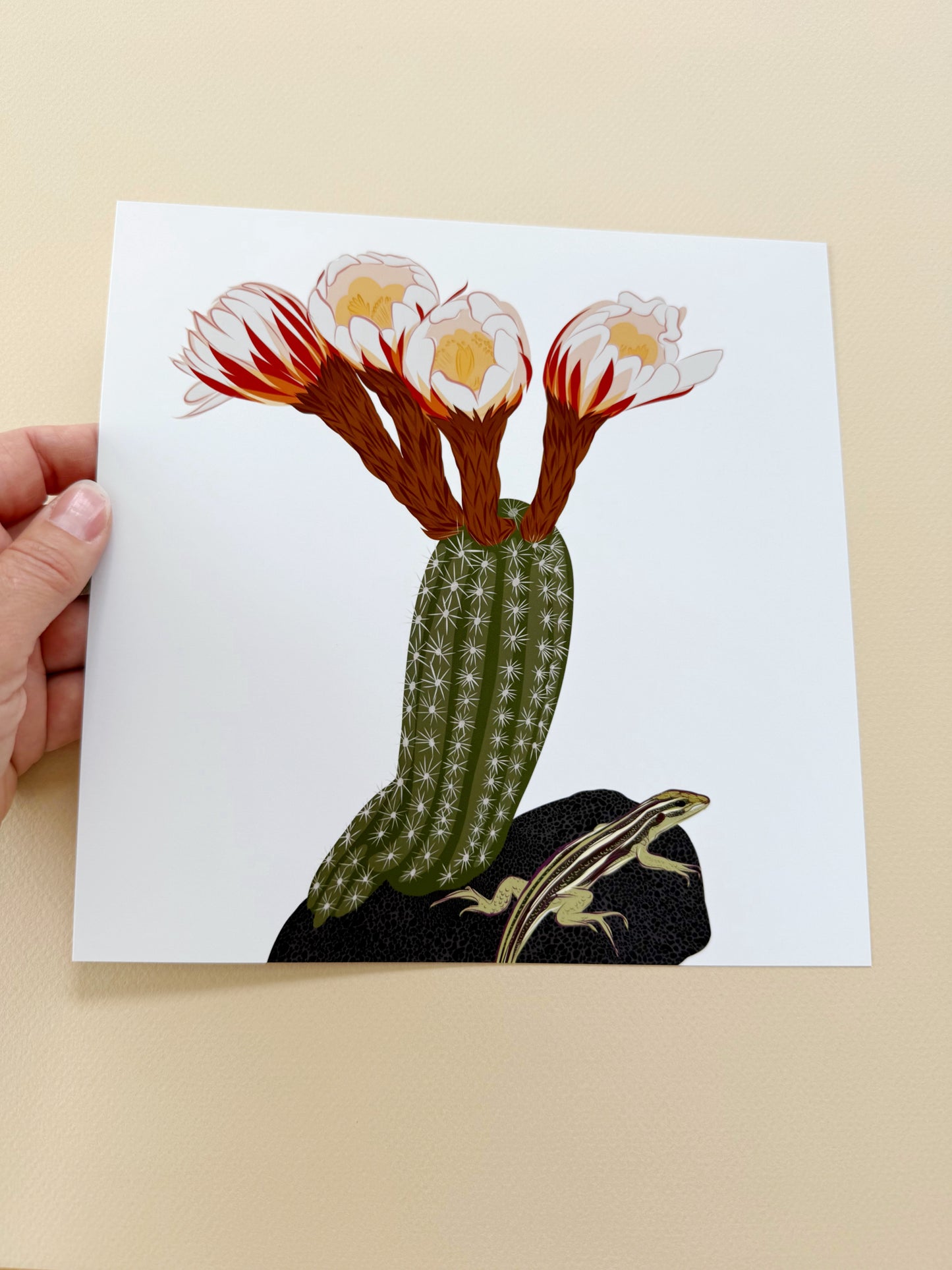 A. Blooming Cacti with Whiptail lizard