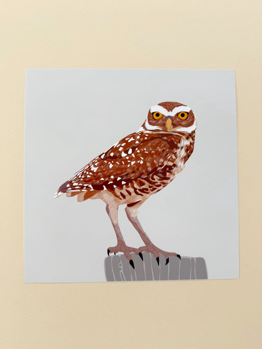 AB. Burrowing Owl Print