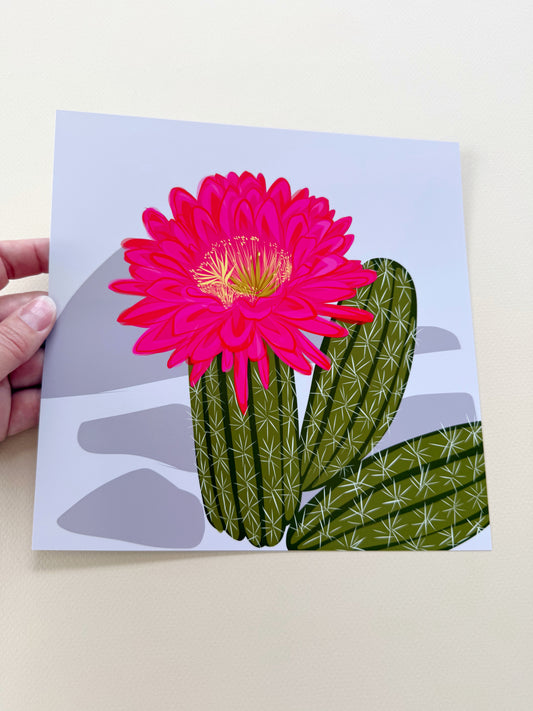 A. Bold pink Blooming Cacti print on turquoise background