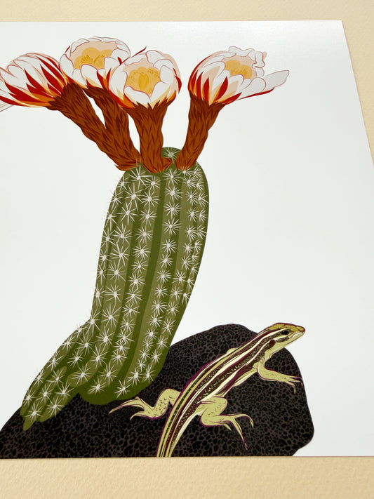 A. Blooming Cacti with Whiptail lizard