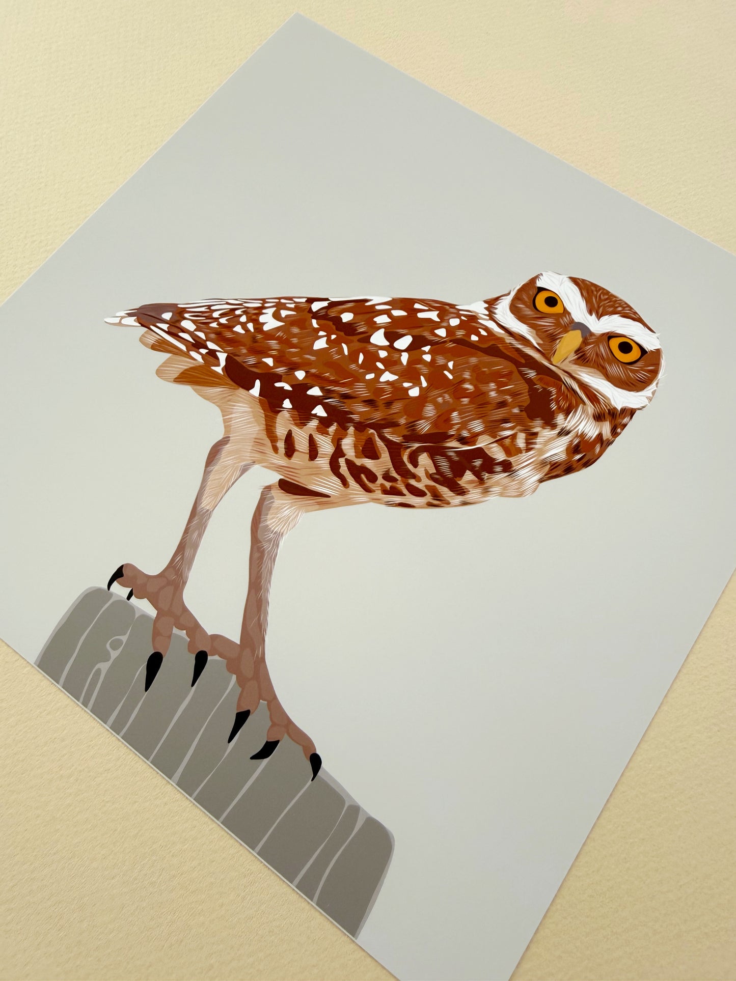AB. Burrowing Owl Print