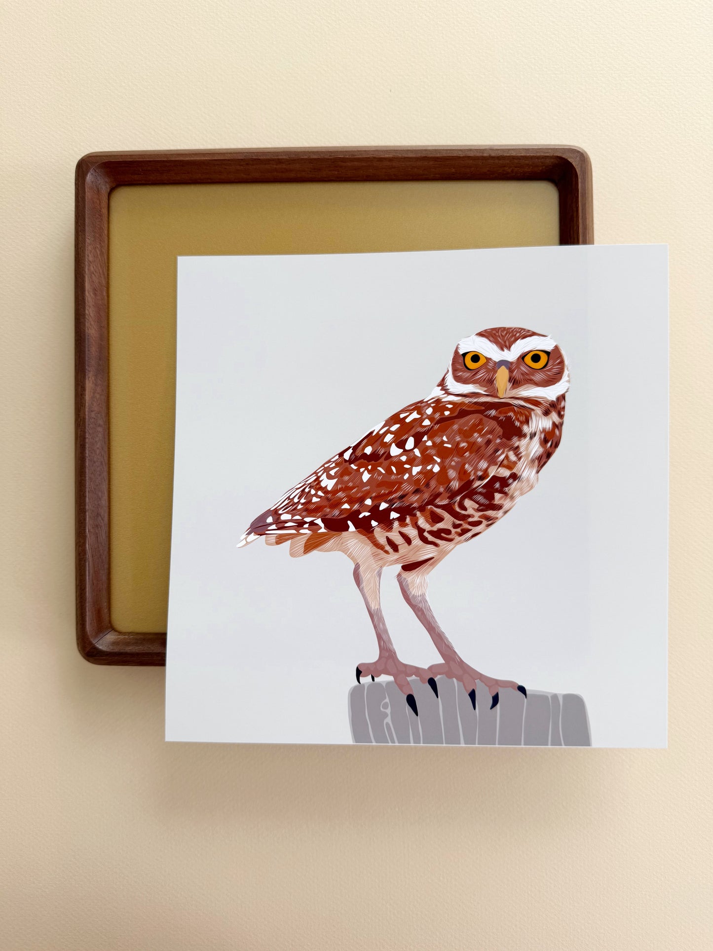 AB. Burrowing Owl Print