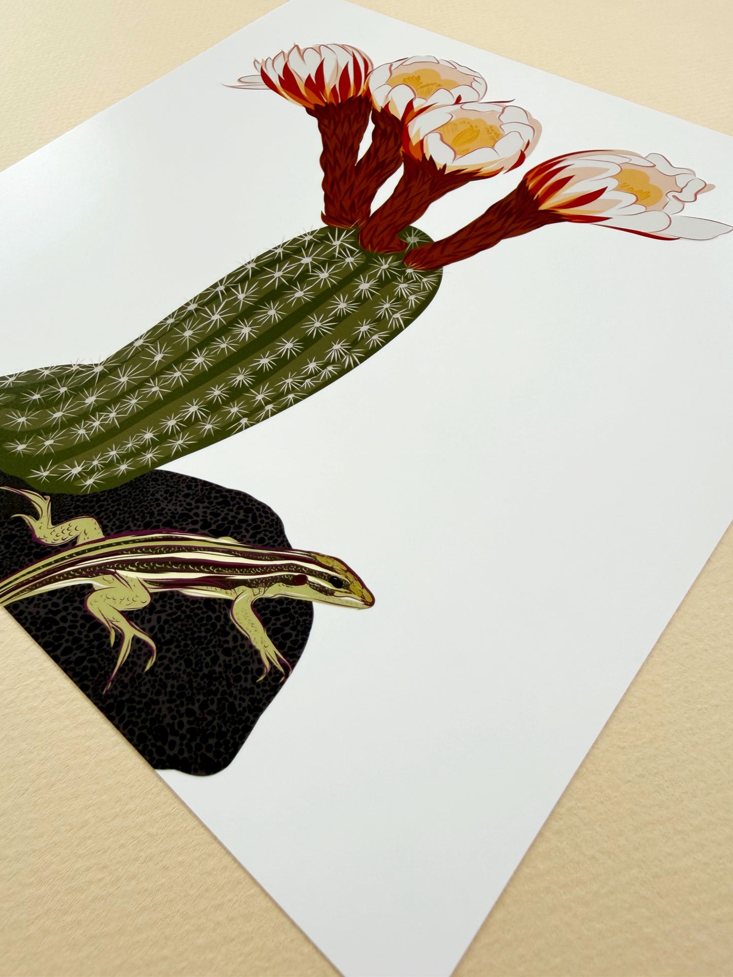 A. Blooming Cacti with Whiptail lizard