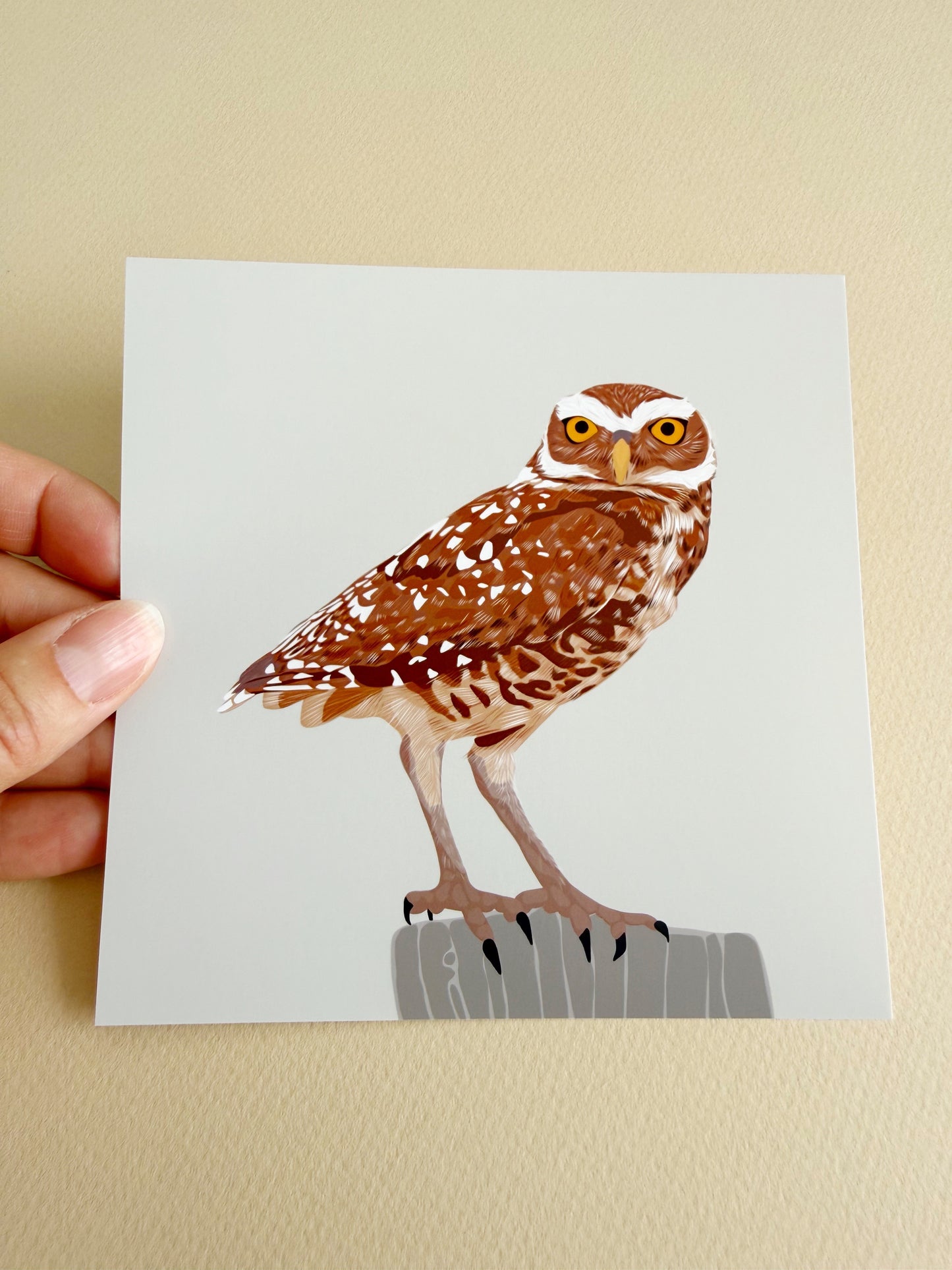 AB. Burrowing Owl Print