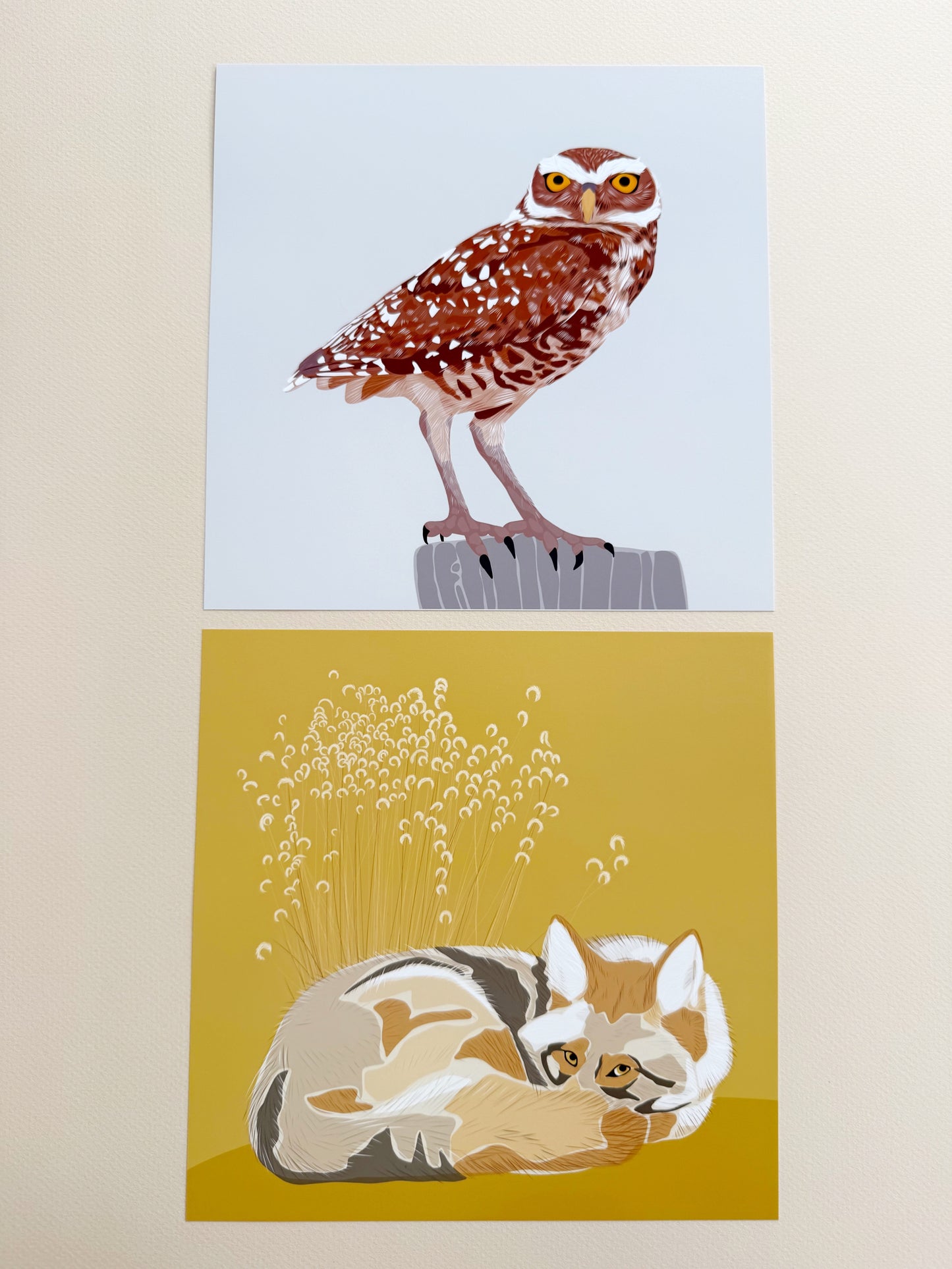 AB. Burrowing Owl Print