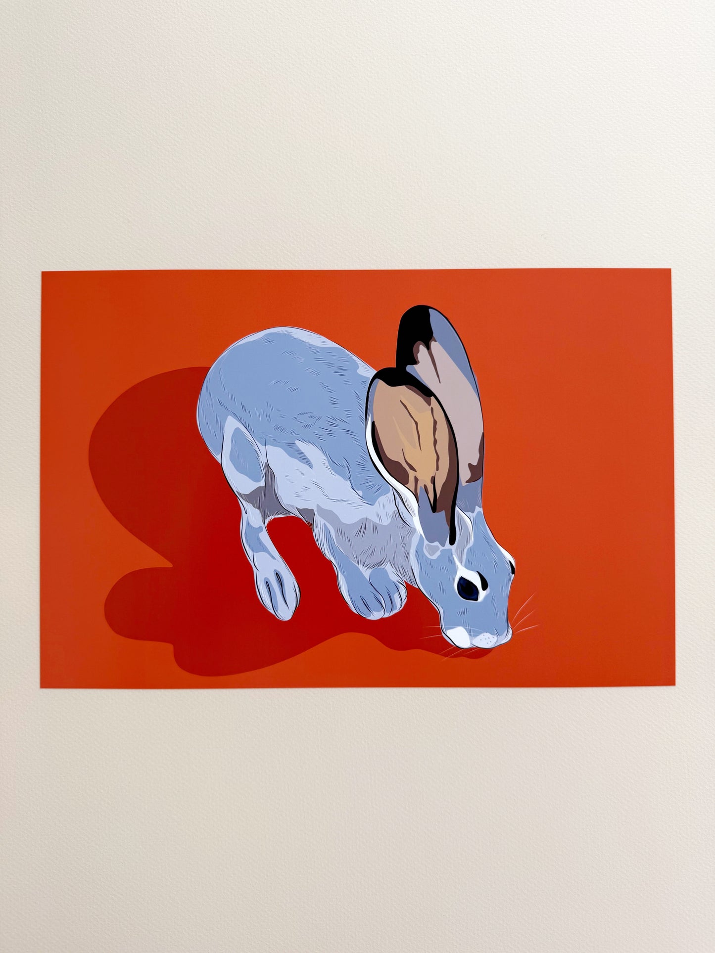 A. Jackrabbit drinking on orange background horizontal print