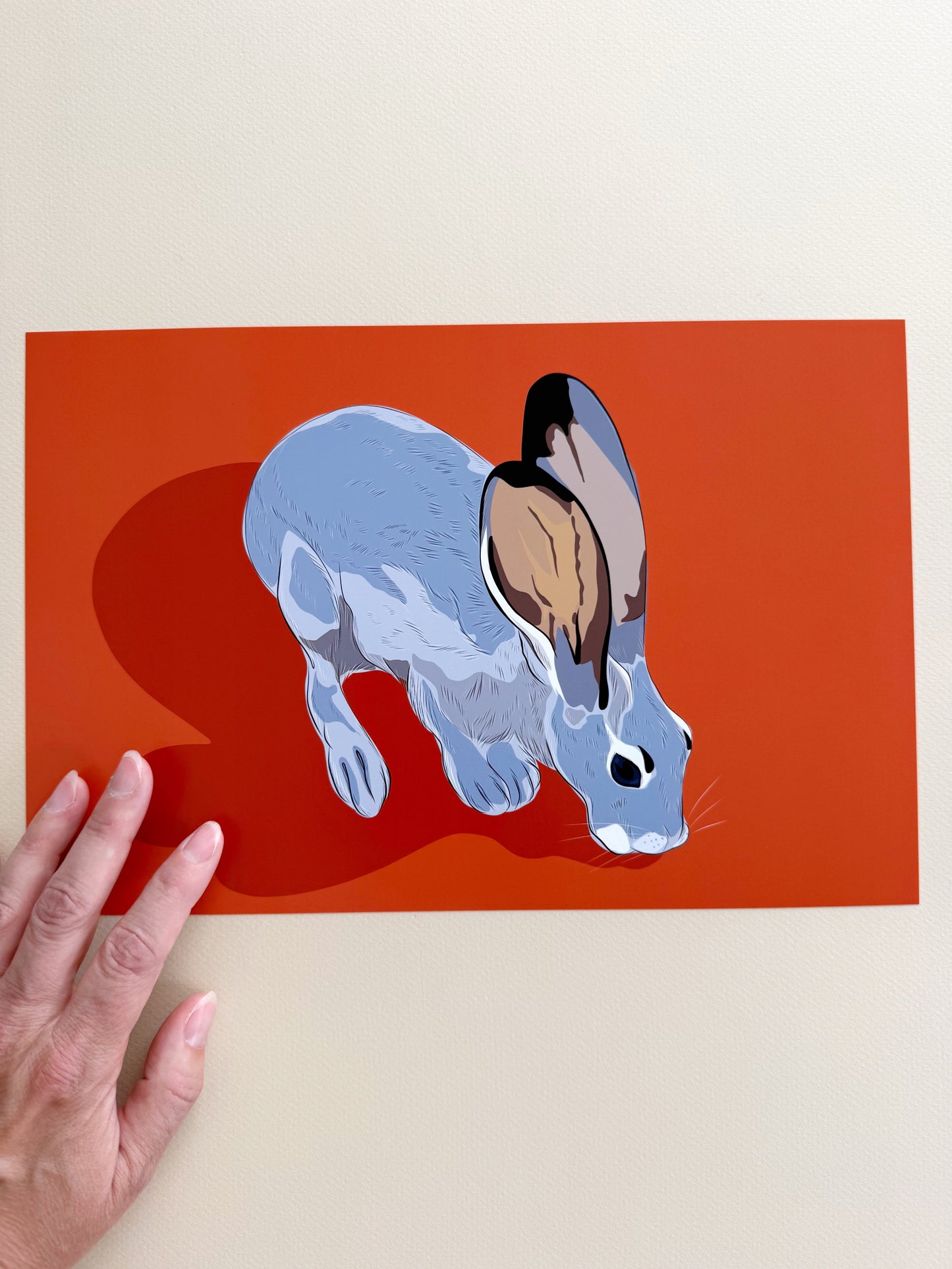 A. Jackrabbit drinking on orange background horizontal print