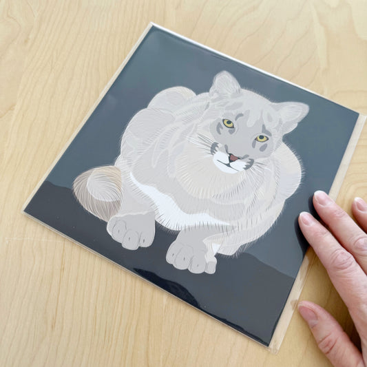 AD. Print of my Cougar drawing 8” square on a dark plummy brown background