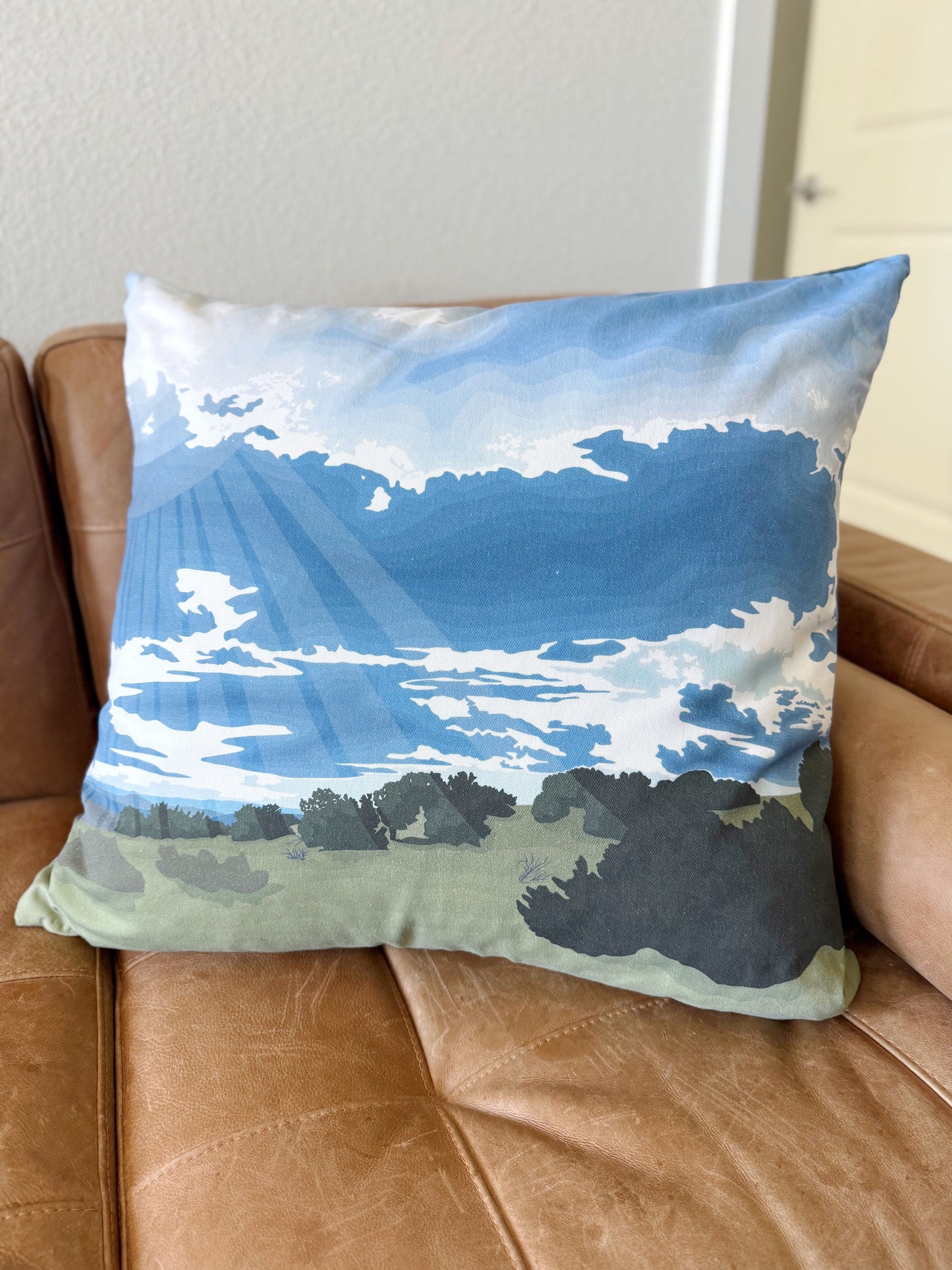 AB. Special Order Summer Sun 26” Throw Pillow