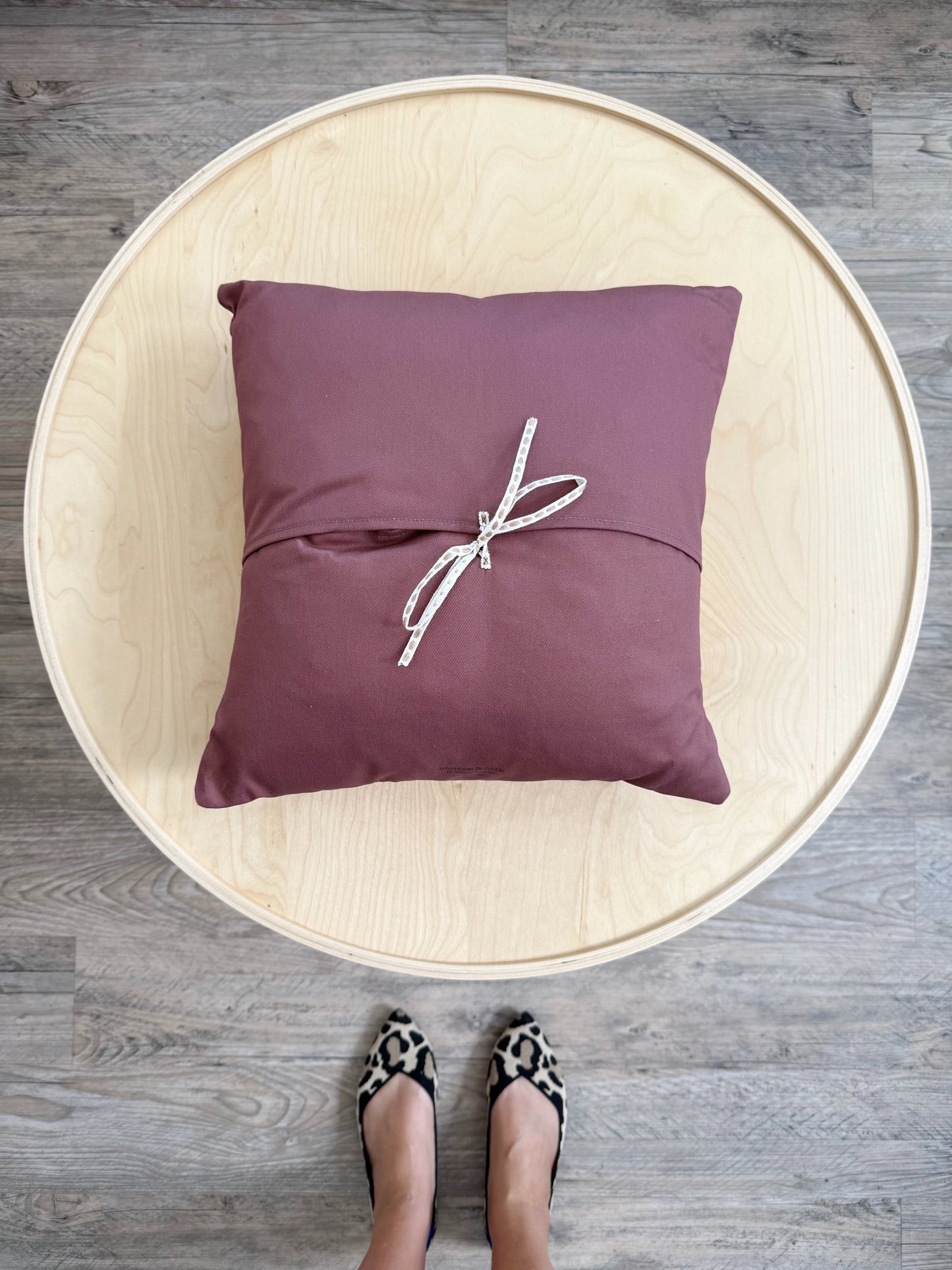 AA. Burrowing Owl 15” Throw Pillow