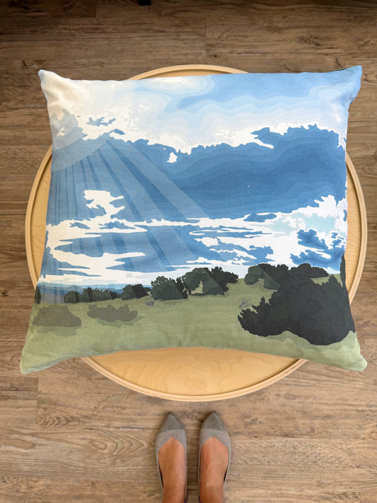 AB. Special Order Summer Sun 26” Throw Pillow