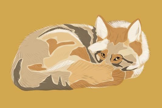A. Coyote on a yellow background horizontal print