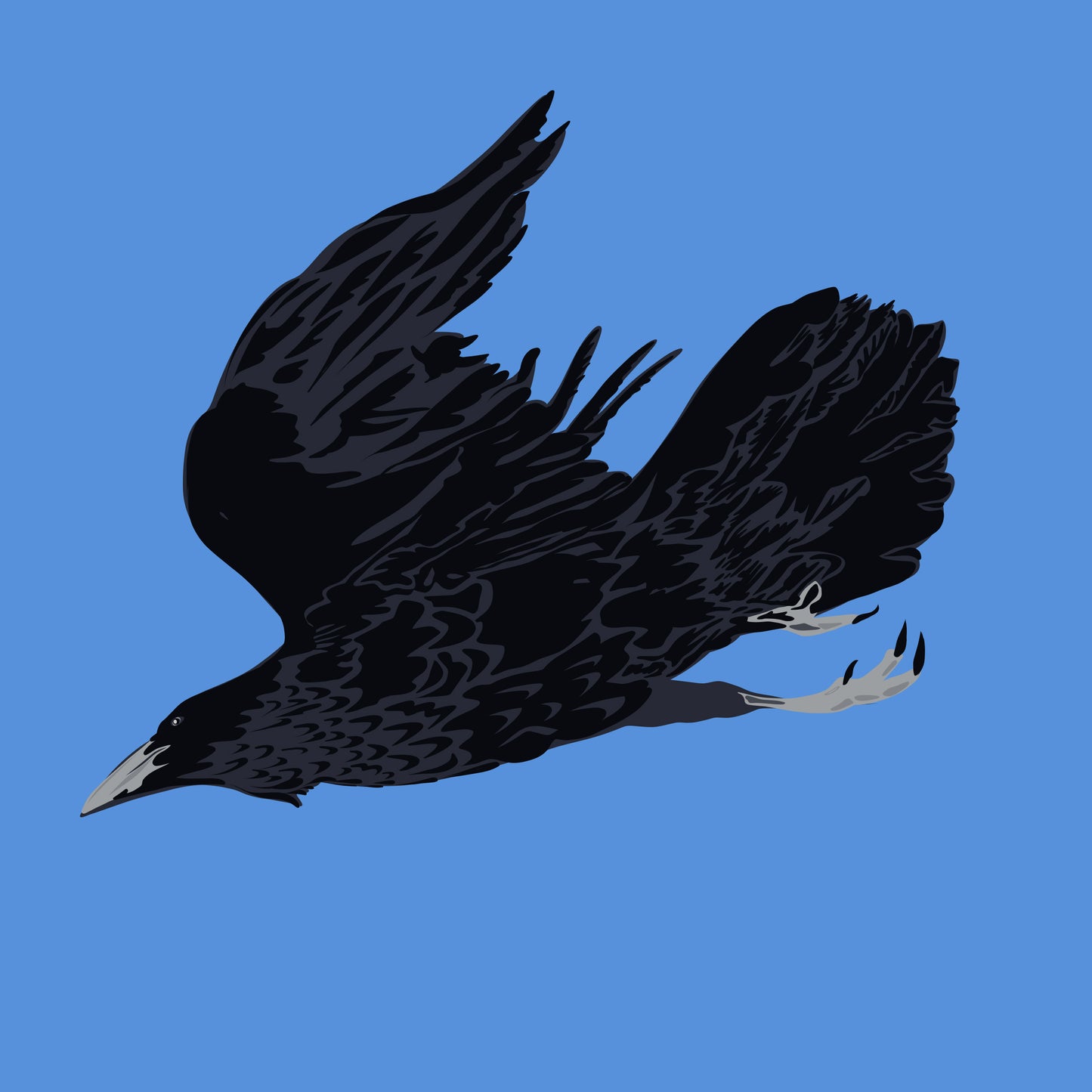 AB. Raven Flying Print